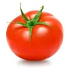 pomidor22231