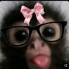 maily.cordova.0