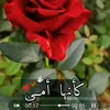 user29030694330824