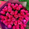 user873147171