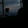 mesho_3133