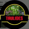 taulioes_7
