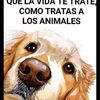davidbedoya387