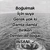 qemli12121212