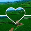 user93971697866200