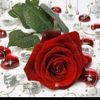 omar084896