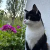 n3xt_ra