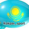 kokpar868_13.17