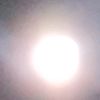 wwei505