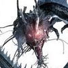 boomslang148
