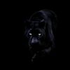 cedricdwisug