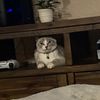 not_kevin1441