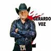 gerardo.vizcarra5