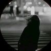fitrotin_15