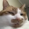 thth0003
