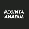 PECINTA ANABUL