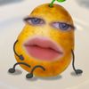 kiwkie81