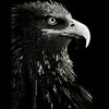 blackraymond10