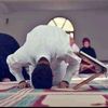 samirsamir44409