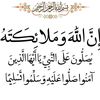 algee_dz16