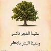 abduabdula42