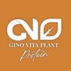 Gino Thailand