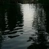 alian__4655