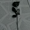 user898445540