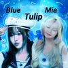tulipmiaofficial