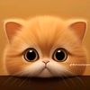 shwe.yi972