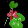 minaung3526
