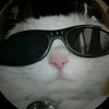 skylineq_q