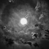 lonewolfe420