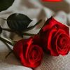 user322904239261