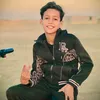 plqm_2013