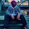 spider_boxin9