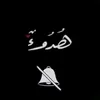 mlll_amila