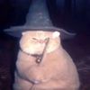 id48582
