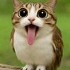 eternalsugar29