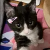 byymaritlit_