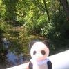 cigarettes_liluuu