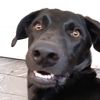 sebas_008004