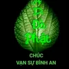 quynhhuypham1