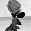 sokhnaaa080