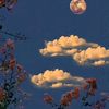 angel_23_208