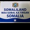 shaashaa661