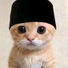 santaylah6