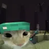 gavornsui