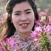letrinh1982