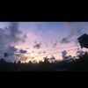 liah_1831